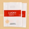 Ảnh mẫu túi hột xoài trong suốt in logo với quai đục lỗ, nguồn Vinpack